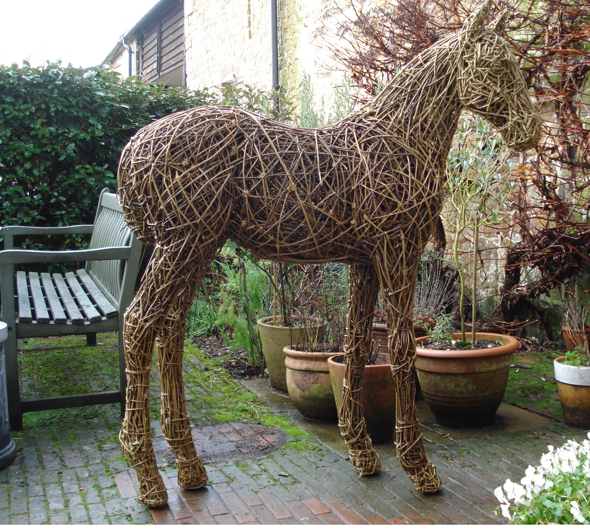 Foal, a life size sculpture in willow and steel.