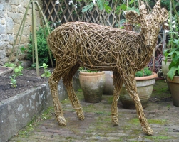 Muntjac Deer, life size, willow/steel.