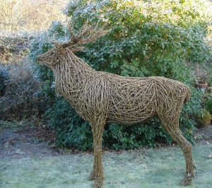 Red Deer Stag, life size, willow/steel.