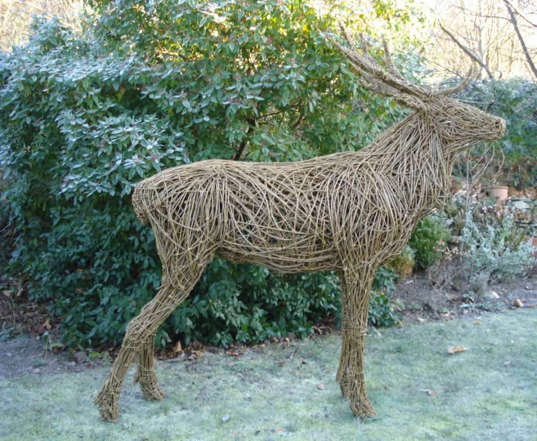 willow stag sculpture, life size willow stag sculpture, stag sculpture for the garden